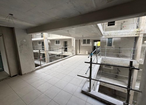 Z'ABRICOTS BAY JANVIER 2026