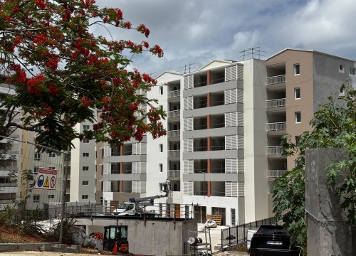 Z'ABRICOTS BAY JUILLET 2026