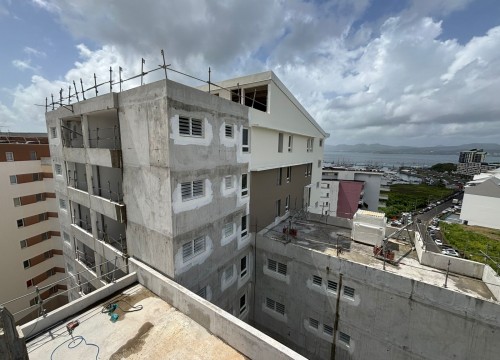 Z'ABRICOTS BAY AOUT 2025