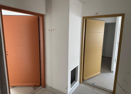 Z'ABRICOTS BAY DECEMBRE 2025