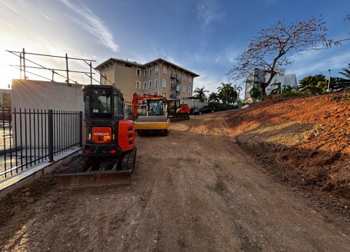 Z'ABRICOTS BAY JUIN 2026