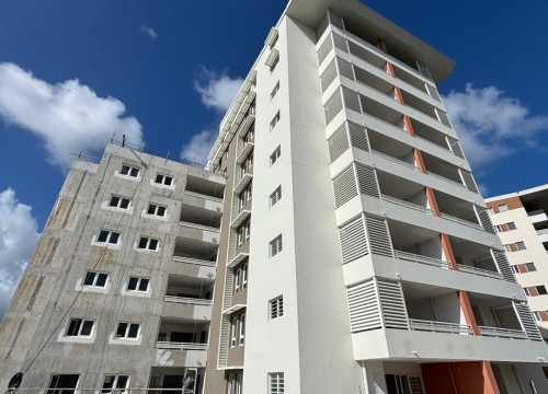 Z'ABRICOTS BAY OCTOBRE 2025