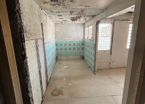 Z'ABRICOTS BAY NOVEMBRE 2025