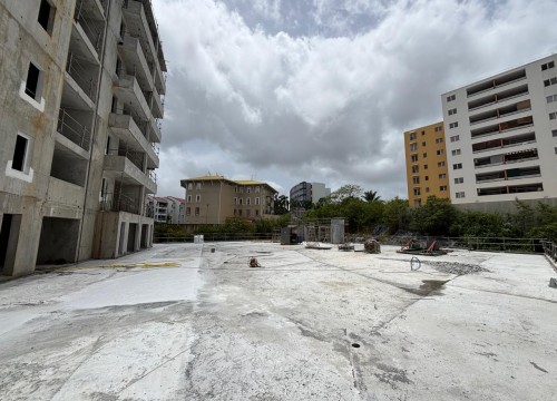 Z'ABRICOTS BAY JUIN 2025