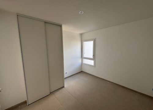 Z'ABRICOTS BAY MARS 2026