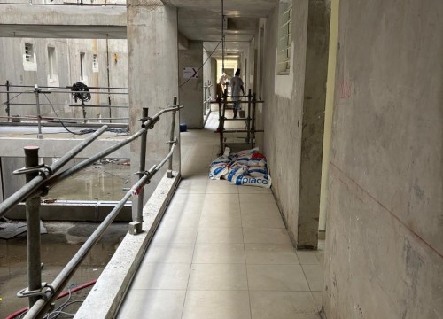 Z'ABRICOTS BAY NOVEMBRE 2025