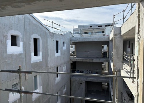 Z'ABRICOTS BAY JANVIER 2026