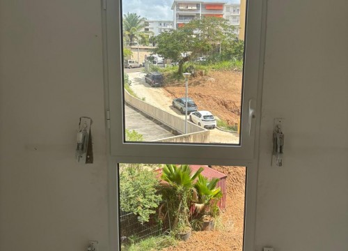 Z'ABRICOTS BAY FEVRIER 2026