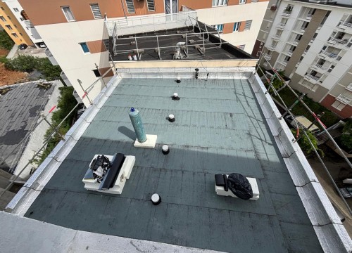 Z'ABRICOTS BAY DECEMBRE 2025