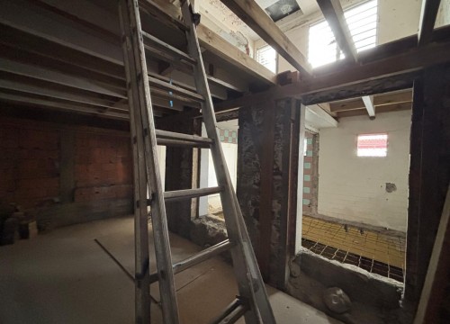 Z'ABRICOTS BAY NOVEMBRE 2025