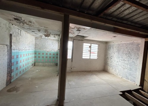 Z'ABRICOTS BAY NOVEMBRE 2025