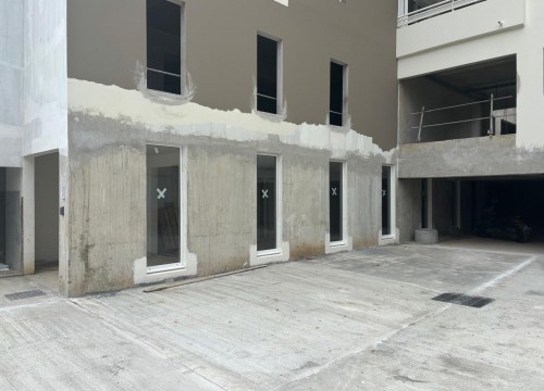 Z'ABRICOTS BAY FEVRIER 2026