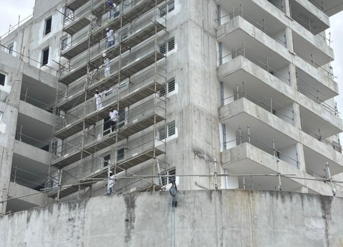 Z'ABRICOTS BAY MAI 2025