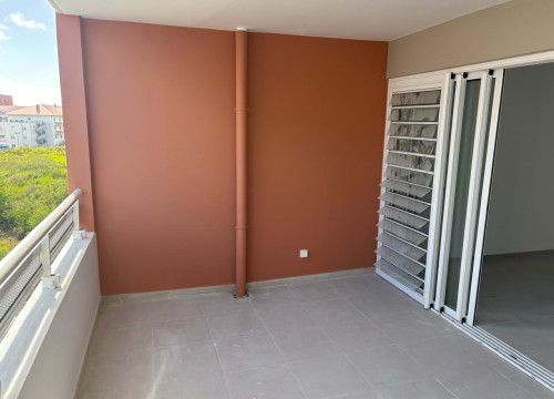 Z'ABRICOTS BAY MARS 2026