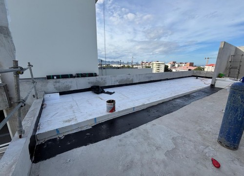 Z'ABRICOTS BAY JANVIER 2026