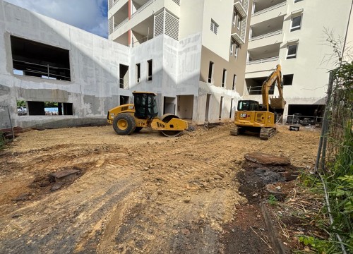 Z'ABRICOTS BAY NOVEMBRE 2025