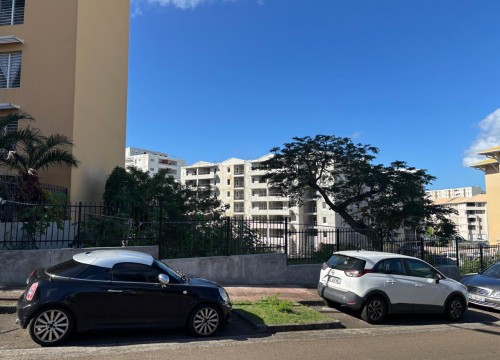 Z'ABRICOTS BAY FEVRIER 2026