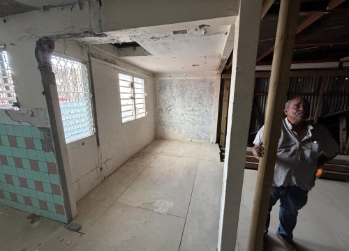 Z'ABRICOTS BAY NOVEMBRE 2025