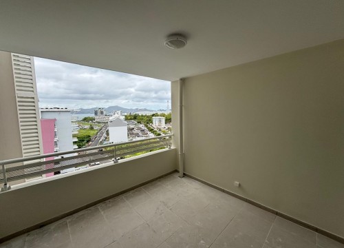 Z'ABRICOTS BAY FEVRIER 2026