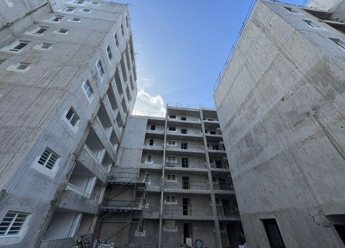 Z'ABRICOTS BAY OCTOBRE 2025