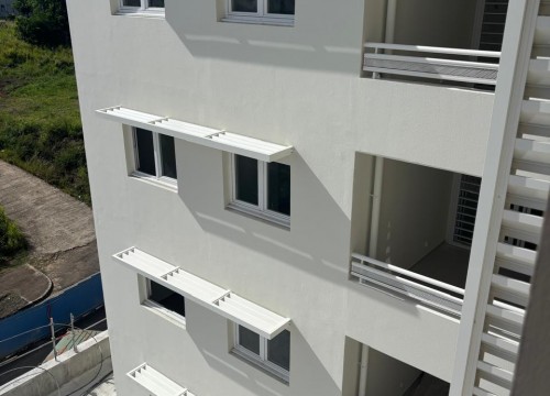 Z'ABRICOTS BAY MARS 2026