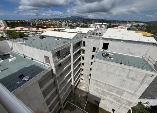 Z'ABRICOTS BAY FEVRIER 2026