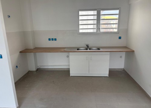 Z'ABRICOTS BAY MARS 2026