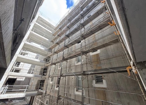 Z'ABRICOTS BAY FEVRIER 2026