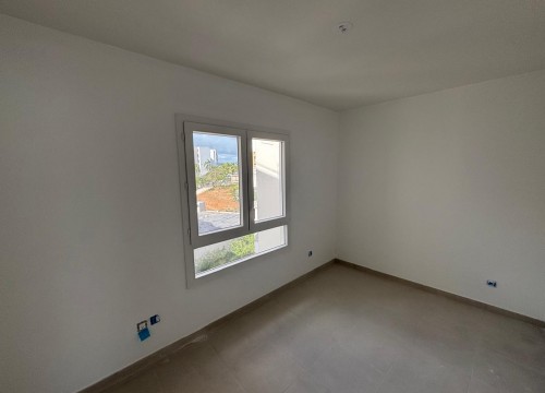 Z'ABRICOTS BAY MARS 2026