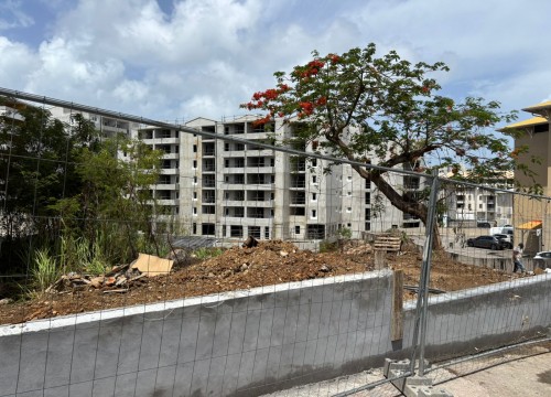 Z'ABRICOTS BAY AOUT 2025