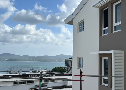 Z'ABRICOTS BAY OCTOBRE 2025