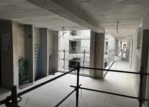 Z'ABRICOTS BAY JANVIER 2026