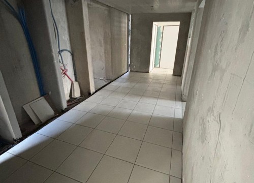 Z'ABRICOTS BAY NOVEMBRE 2025