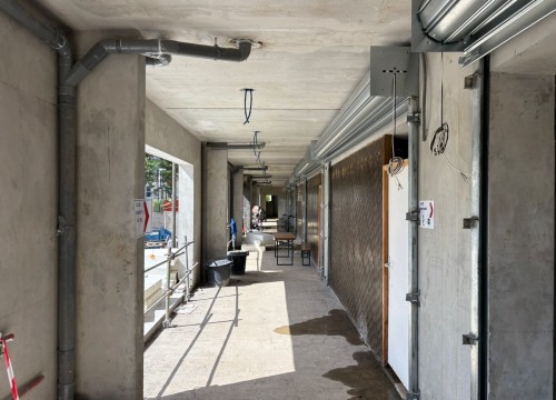 Z'ABRICOTS BAY OCTOBRE 2025